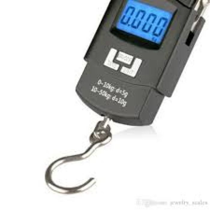 Electric Portable Scale - 50kg