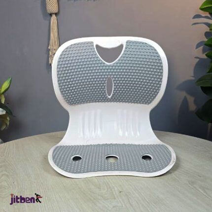 Back Support for Desk Chair