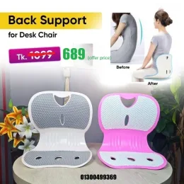 Back Support for Desk Chair